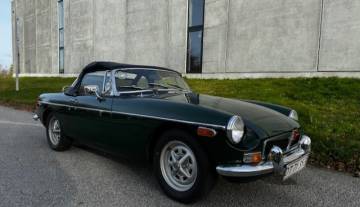 mg7.jpg