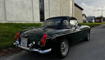 mg8.jpg